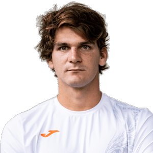 Imagen de Seyboth Wild , Thiago